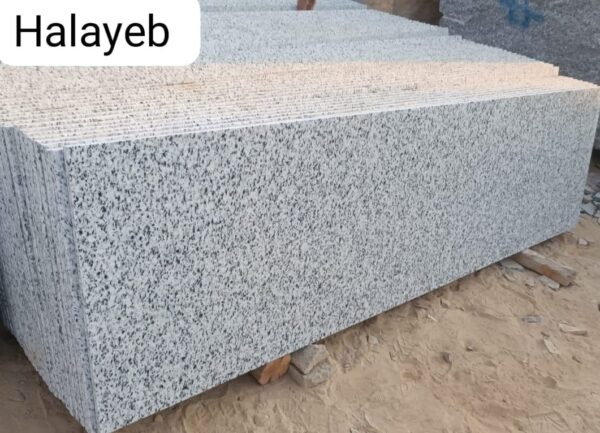 Hayaleb